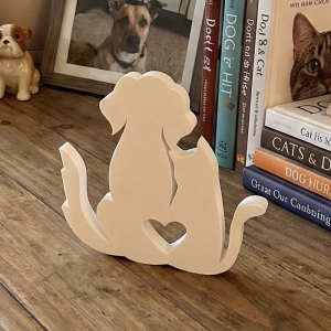 Kutya - Macska: barátság